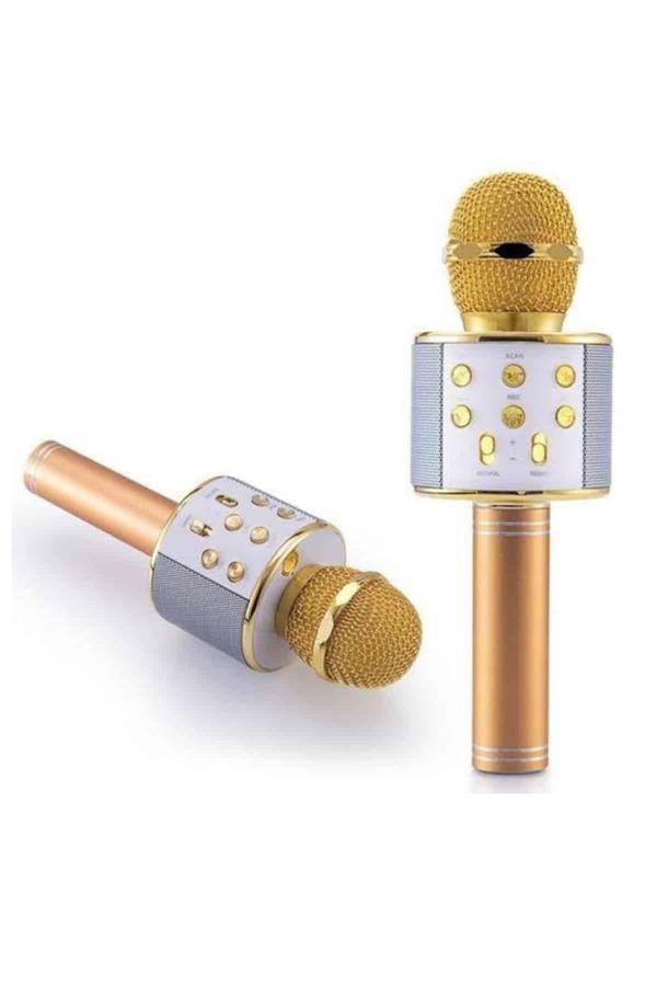 Karaoke Mikrofon Dahili Hoparlörlü Sd-usb-aux Girişli Bluetooth Hoparlör - Image 1