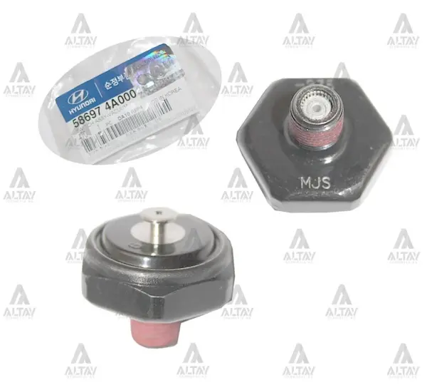 MÜŞÜR VAKUM H-100 / KMY / STAREX VESTİNGHOUSE 58697 4A000 - Image 1