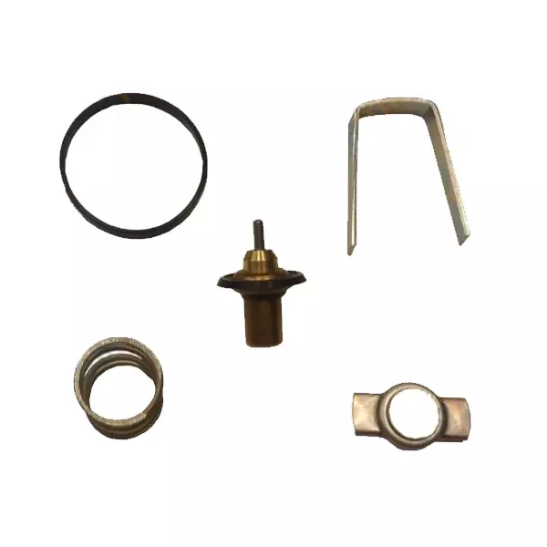 TERMOSTAT 89C CLIO-KANGOO-LOGAN 1.5DCI IÇ GRUP 8200039885 8200244402 8200374994 - Image 1