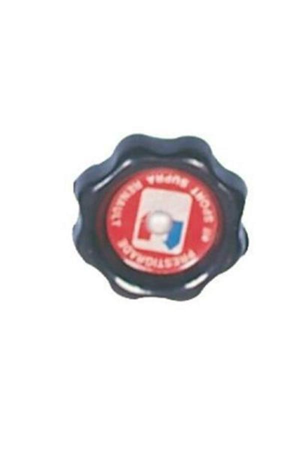 MOTOR YAĞ KAPAĞI R12 7700644083 (10 ADET) - Image 1