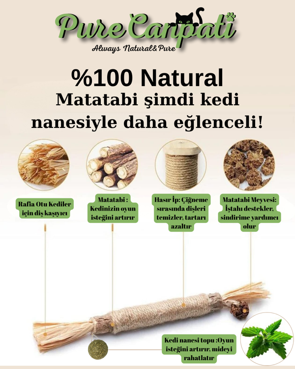 PureCanpati Kedi Naneli Matatabi Çubuğu– Kediler Için Doğal Oyun ve Mutluluk 🌿🐾 1 Adet - Image 1