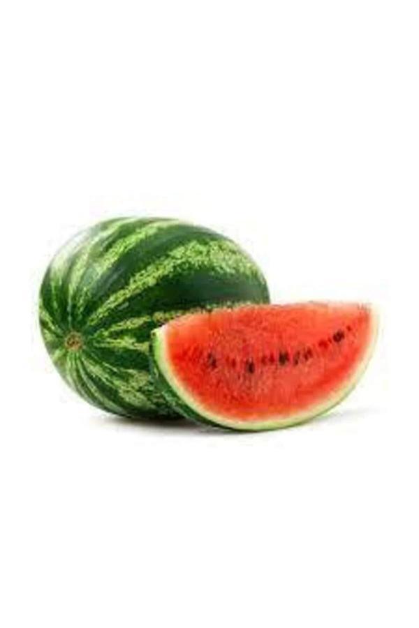 Karpuz Tohumu 10 Gr - Image 1