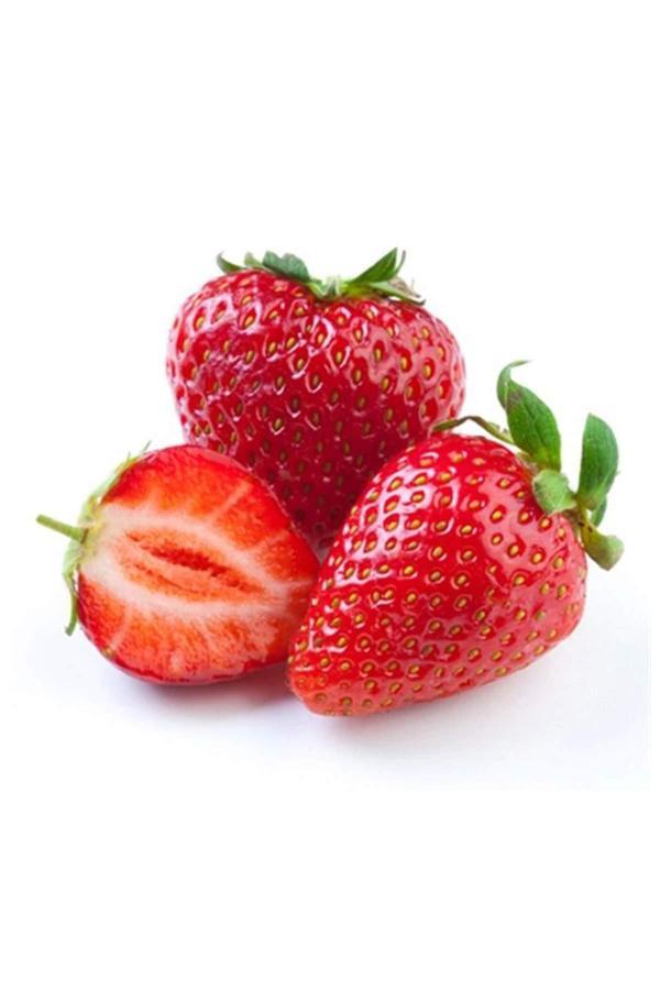 Çilek Tohumu 25 Gr - Image 1