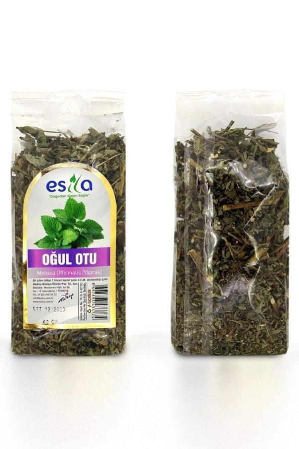 Poşet Oğul Otu 40 Gr. - Image 1