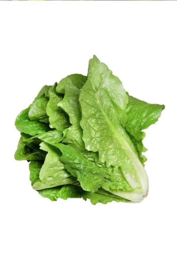 Yedikule Marul Tohumu 10 Gr - Image 1