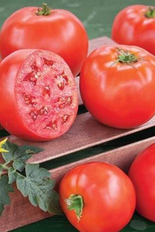 Domates Tohumu H.2274 5 Gr - Image 1