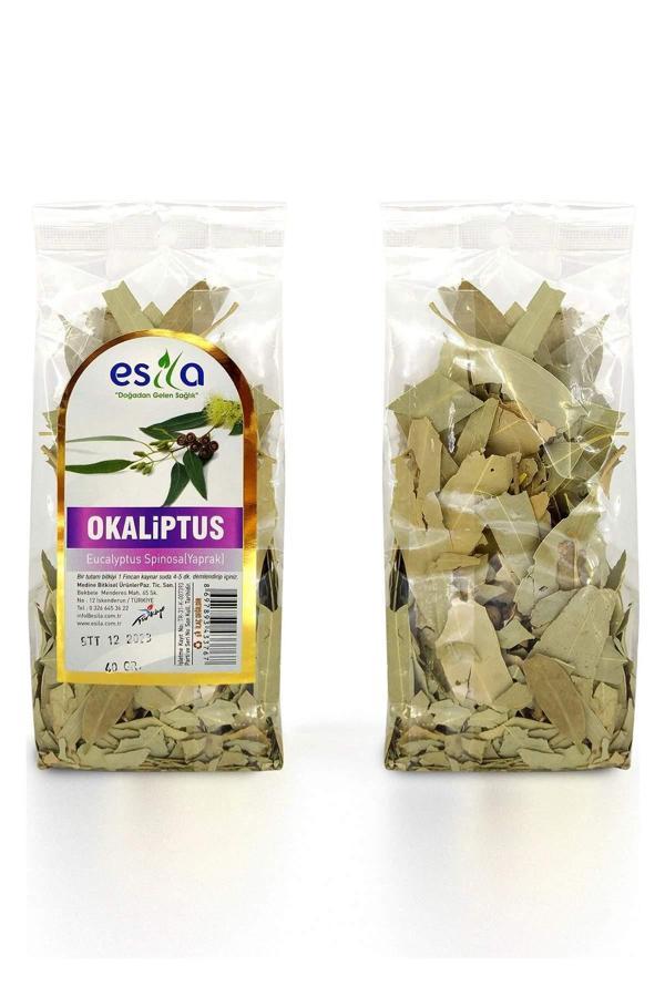 Poşet Okaliptus Yaprağı 40 Gr. - Image 1