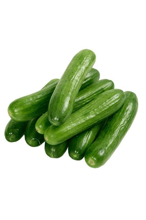 Hıyar Tohumu 20 Gr - Image 1