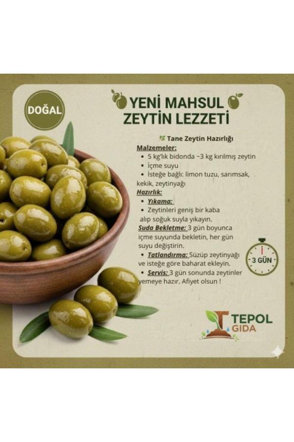 Tepol Tane Yeşil Zeytin Bahçeden 1 Kg - Image 1