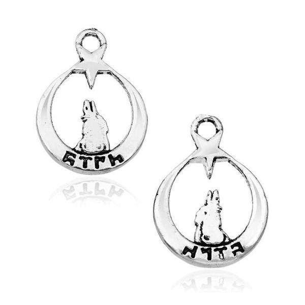 KENPAZAR 925 Ayar Gümüş Ayyıldız Bozkurt Tesbih Püskül Ucu - Image 1