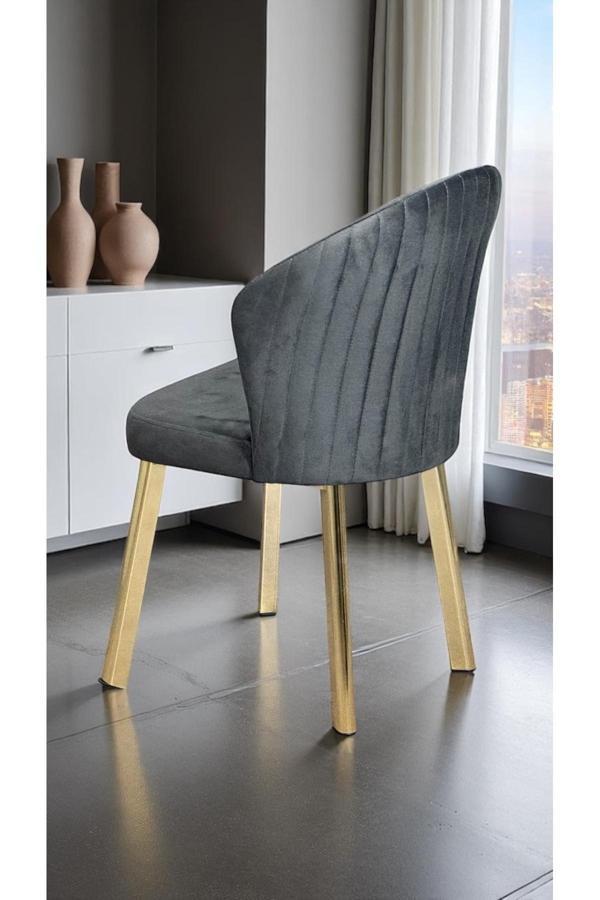 Kaktüs Avm 2 Adet Midye Sandalye Mutfak Cafe Restaurant Proje Metal Lüks Sandalye - Image 1