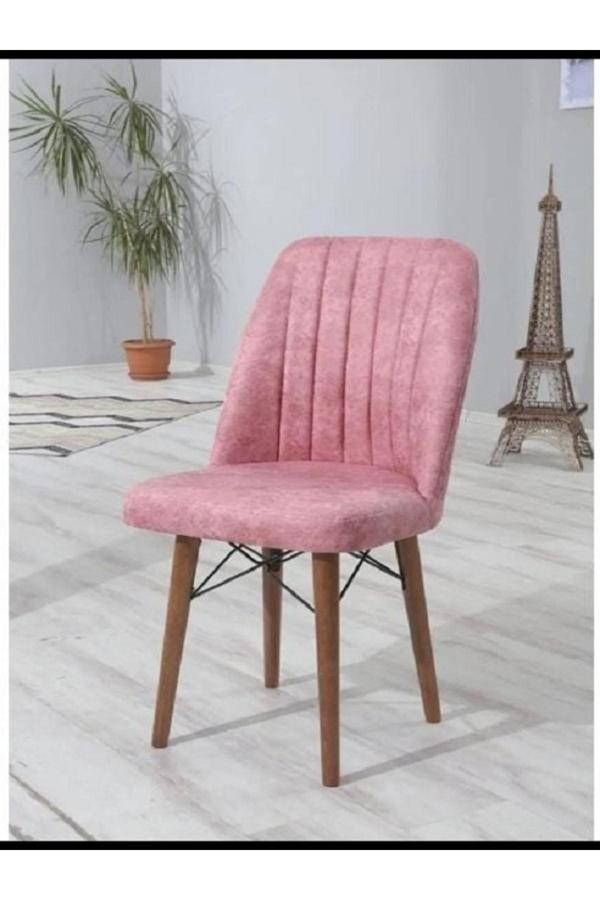 Kaktüs Avm 4'Lü Mutfak Sandalyesi Salon Sandalyesi Yemek Odası Sandalyesi 4 Adet Sandalye Cafe Restaurant - Image 1