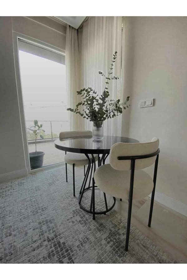 Kaktüs Avm 2'Li Teddy Sandalye Mutfak Sandalyesi - Image 1