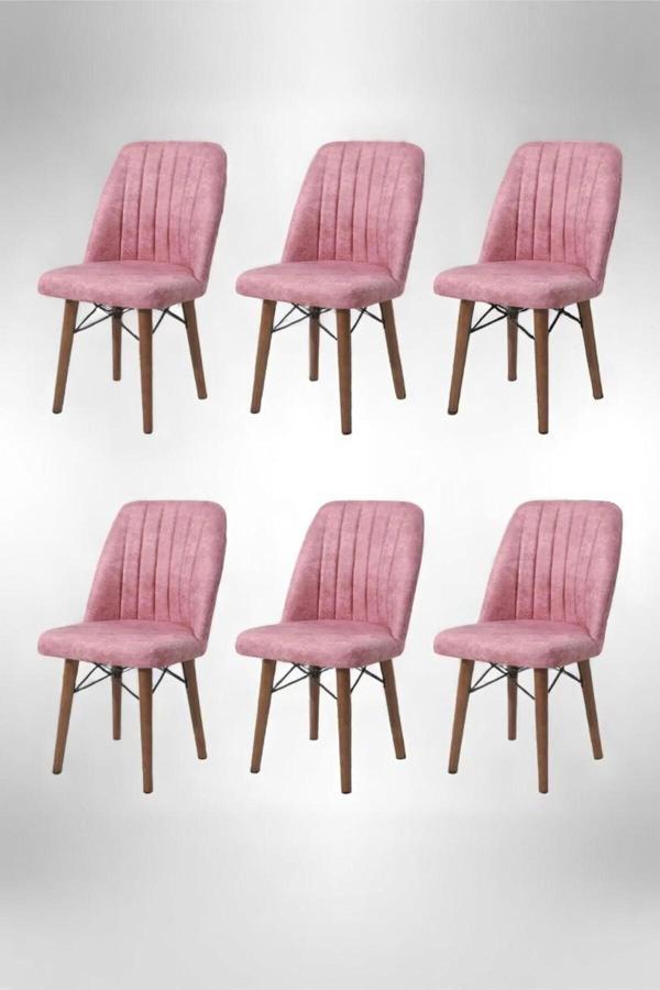 Kaktüs Avm 6'Lı Mutfak Sandalyesi Salon Sandalyesi Yemek Odası Sandalyesi 6 Adet Sandalye Cafe Restaurant - Image 1