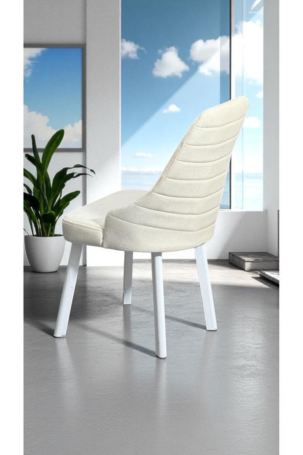 Kaktüs Avm Erciyes Sandalye 2 Adet Mutfak Cafe Restaurant Proje Metal Lüks Sandalye - Image 1