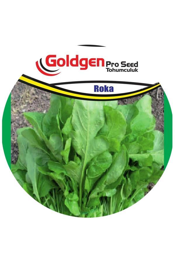 Kademgiller Roka Tohumu (Geniş Yaprak) - Image 1