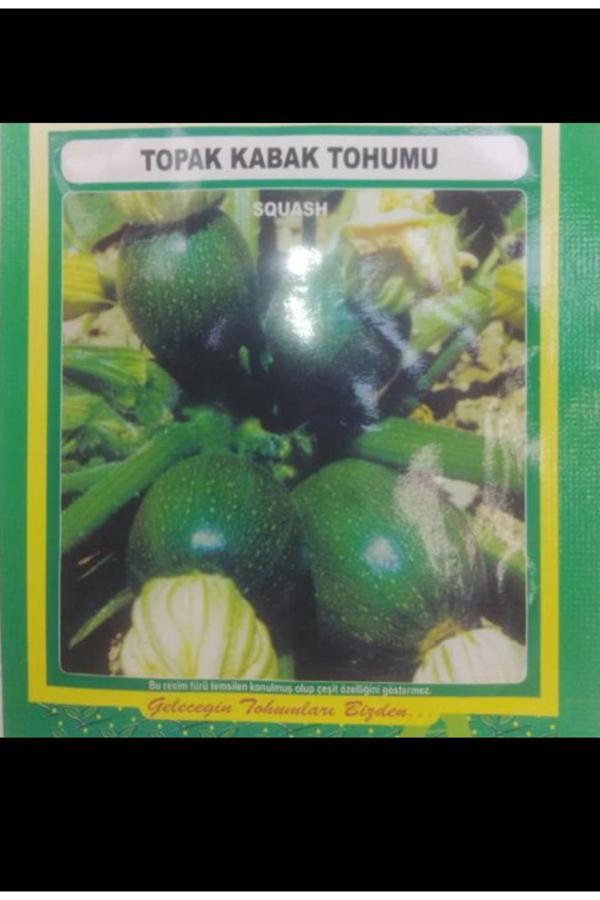 Kademgiller Topak Kabak Tohumu 5 Gr - Image 1