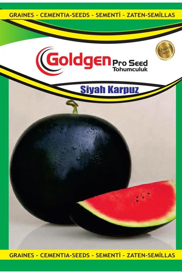 Kademgiller Siyah (Halep) Karpuzu Tohumu - Image 1