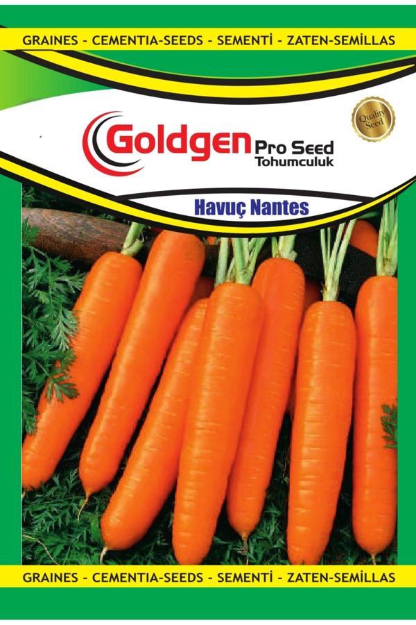 Kademgiller Nantes Havuç Tohumu - Image 1