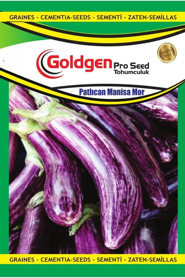 Kademgiller Manisa Kır Patlıcan Tohumu - Image 1