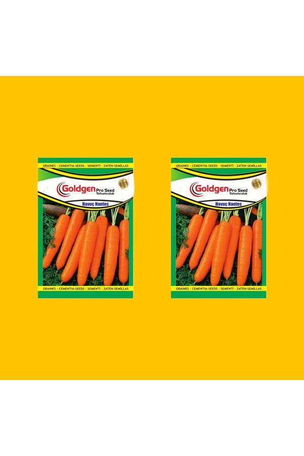 Kademgiller Nantes Havuç Tohumu 2 Paket - Image 1