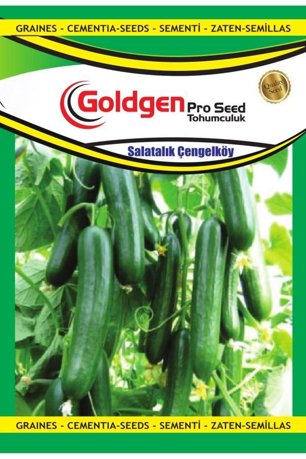 Kademgiller Çengelköy Salatalığı Tohumu - Image 1