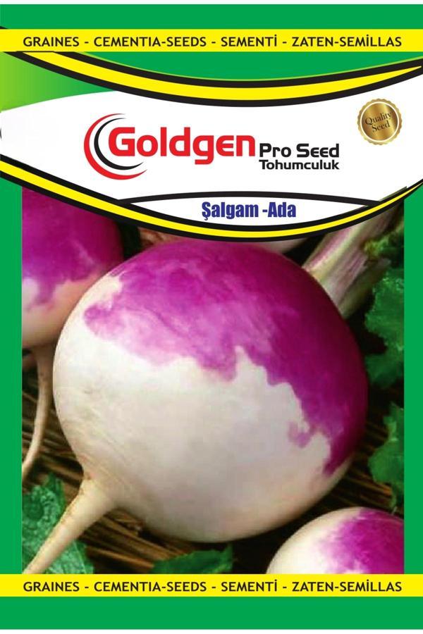 Kademgiller Şalgam Tohumu - Image 1