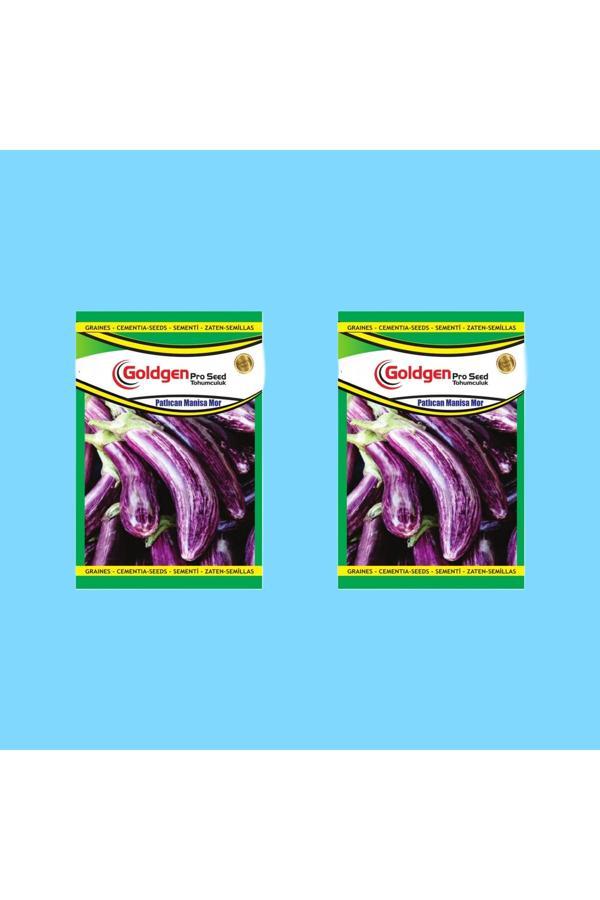 Kademgiller Manisa Kır Patlıcan Tohumu 2 Paket - Image 1