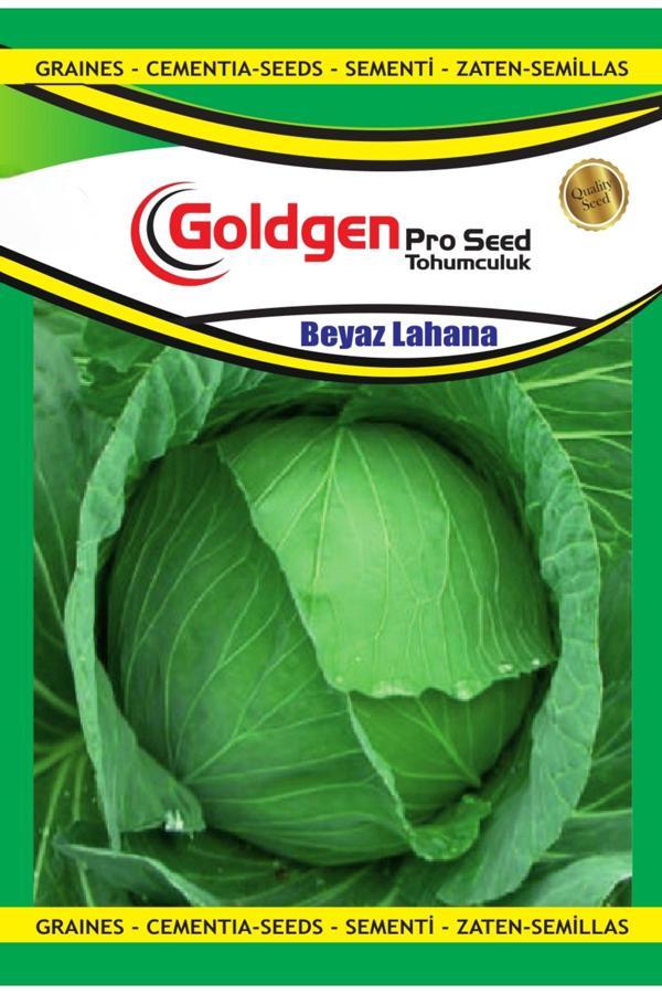 Kademgiller Beyaz Lahana Tohumu - Image 1