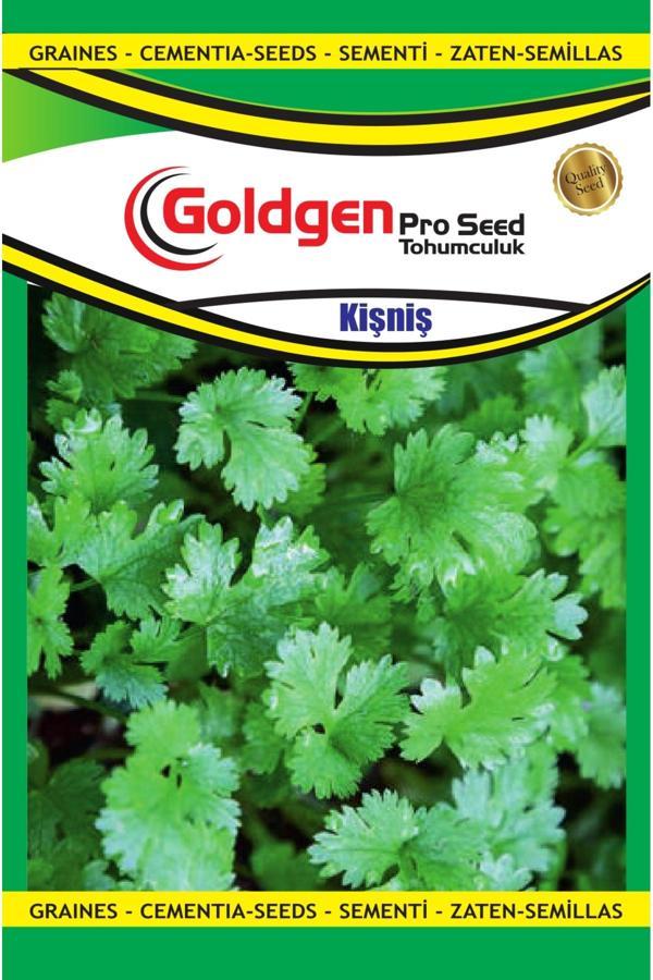 Kademgiller Kişniş Tohumu - Image 1