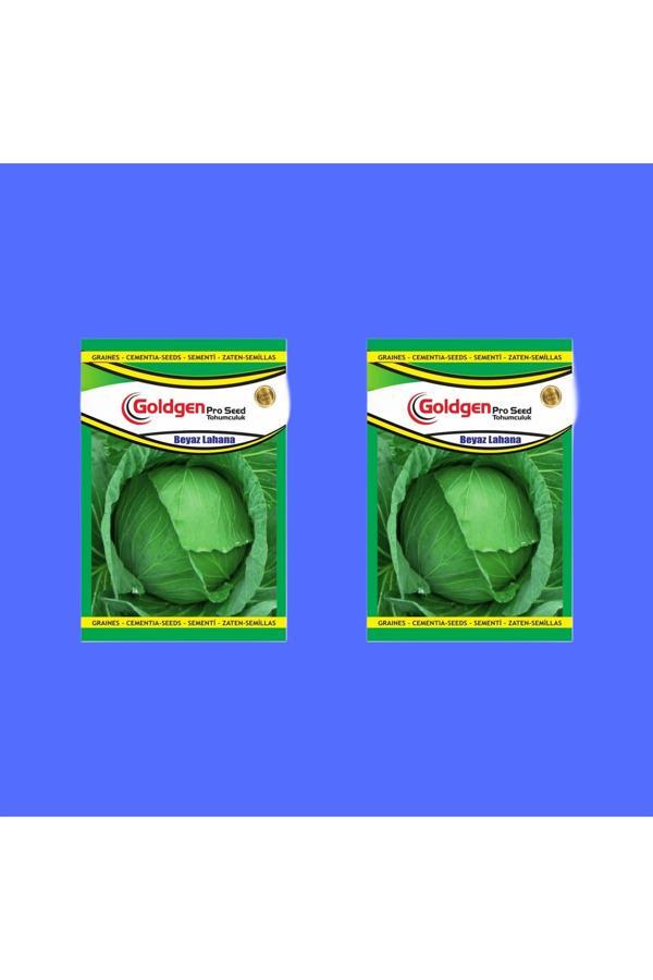 Kademgiller Beyaz Lahana Tohumu 2 Paket - Image 1