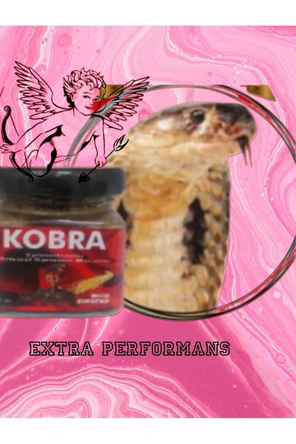 Kademgiller Kobra Ginsengli Bitkisel Karışımlı Macun 40 Gr - Image 1