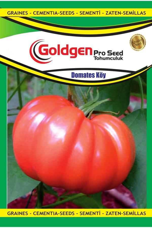 Kademgiller Köy Domates Tohumu - Image 1