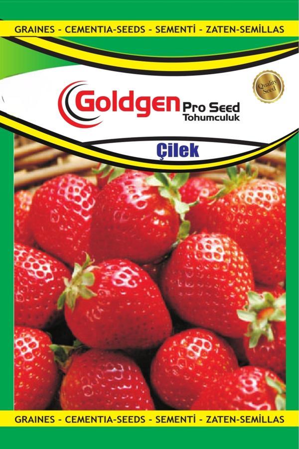 Kademgiller Çilek Tohumu - Image 1