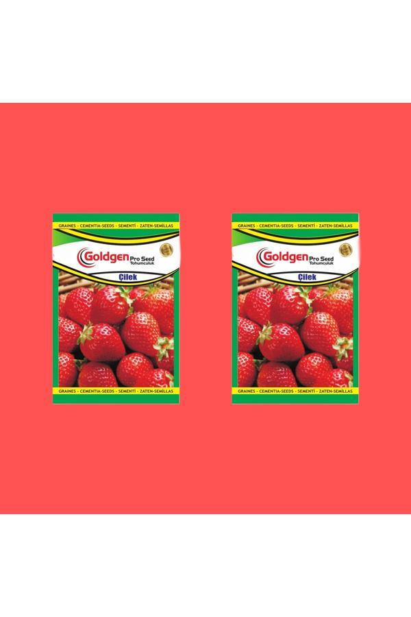 Kademgiller Çilek Tohumu 2 Paket - Image 1