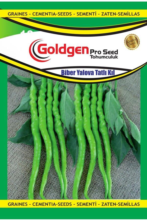 Kademgiller Yalova Tatlı Kıl Biber Tohumu - Image 1