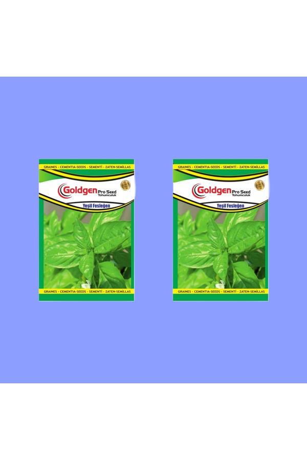 Kademgiller Yeşil Fesleğen (Reyhan) Tohumu 2 Paket - Image 1