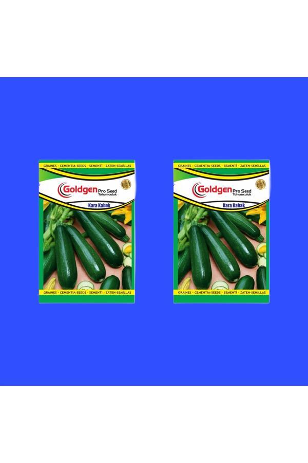 Kademgiller Kara Kabak Tohumu 2 Paket - Image 1