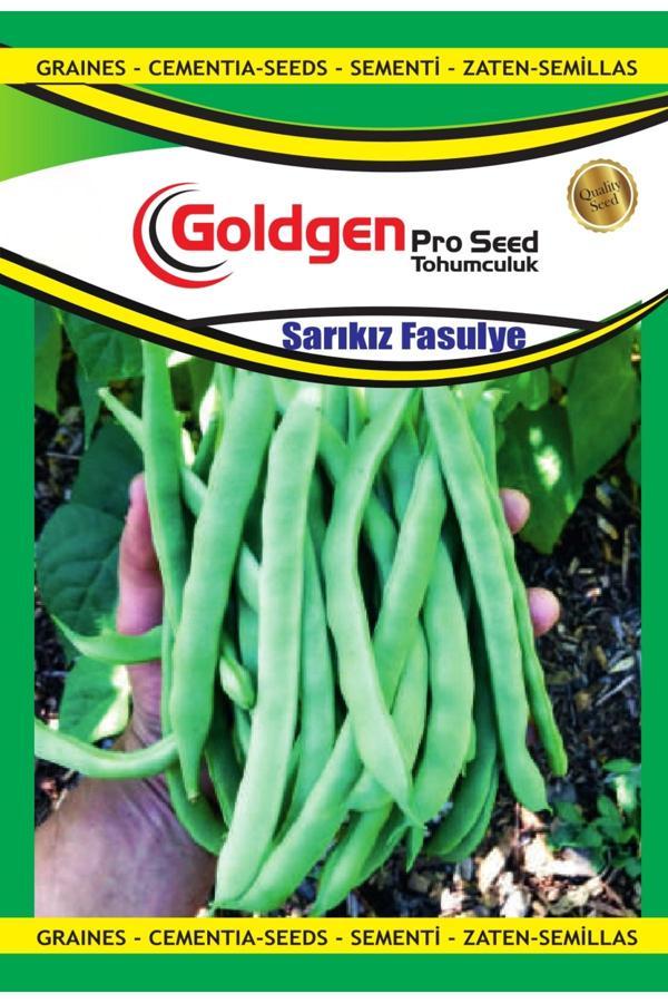 Kademgiller Sarıkız Fasulye Tohumu - Image 1