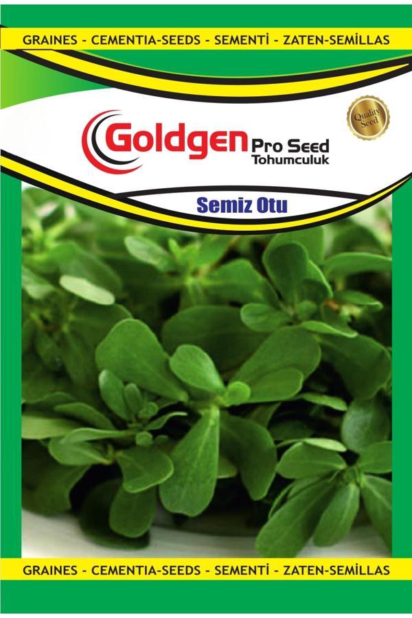Kademgiller Semizotu Tohumu - Image 1