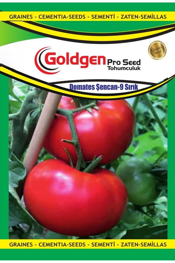 Kademgiller Şencan Sırık Domates Tohumu - Image 1