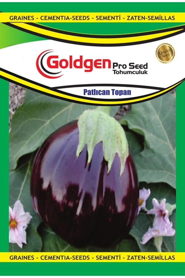 Kademgiller Patlıcan Topan Tohumu - Image 1