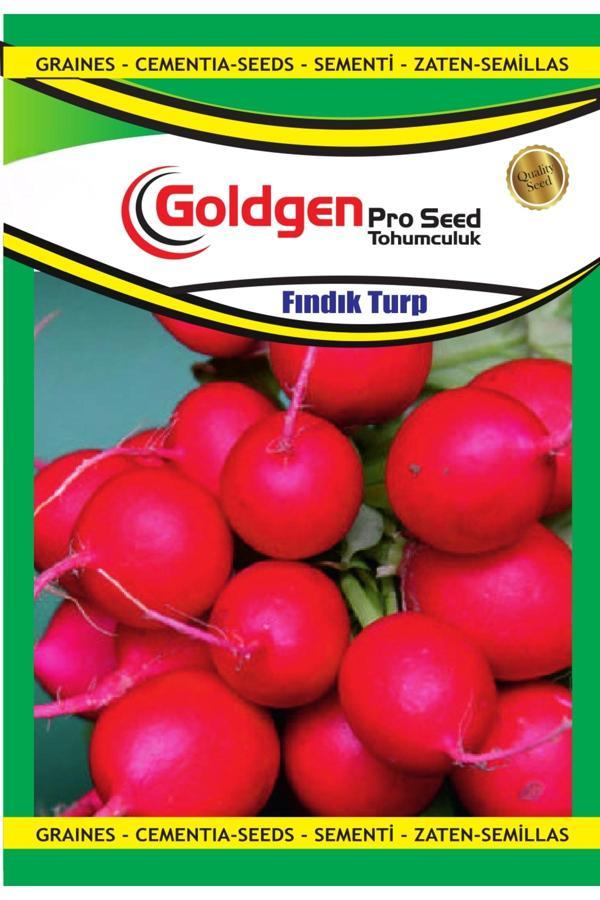 Kademgiller Fındık Turp Tohumu - Image 1