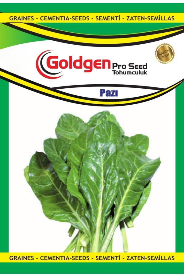 Kademgiller Pazı Tohumu - Image 1