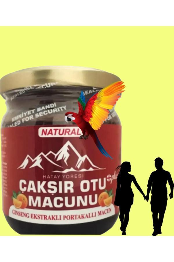 Kademgiller Portakallı Çakşır Otu Macunu 240 Gr - Image 1