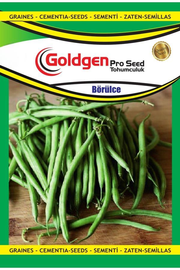 Kademgiller Börülce Tohumu - Image 1