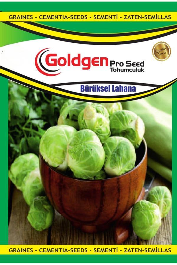Kademgiller Brüksel Lahanası Tohumu - Image 1