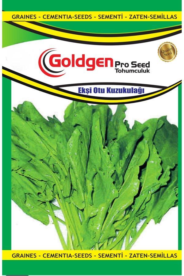 Kademgiller Kuzukulağı (Ekşi Ot) Tohumu - Image 1