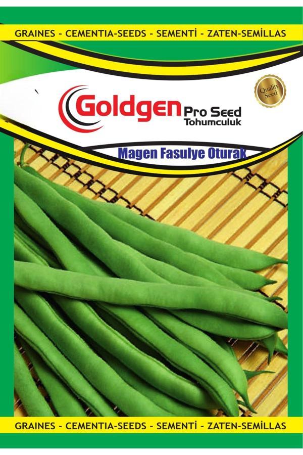 Kademgiller Magen Oturak Fasulye - Image 1