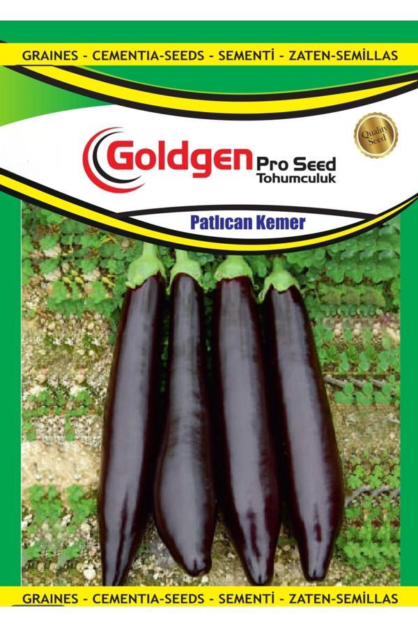 Kademgiller Kemer Patlıcan Tohumu - Image 1